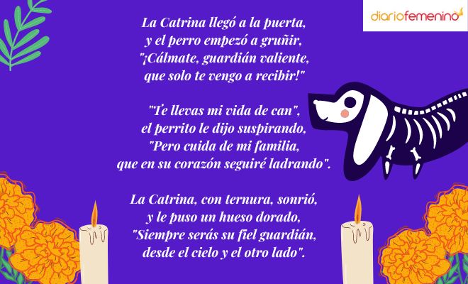 Bonita calaverita para un perro fallecido