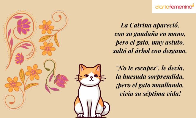 Calaverita literaria para un gato vivo