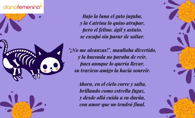Calaverita literaria para un gato fallecido