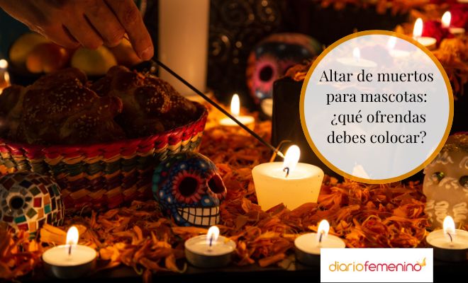 Qué ofrendas colocar en el altar del Día de Muertos de Mascotas