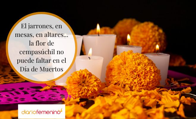 Decoración con flores para el Día de Muertos