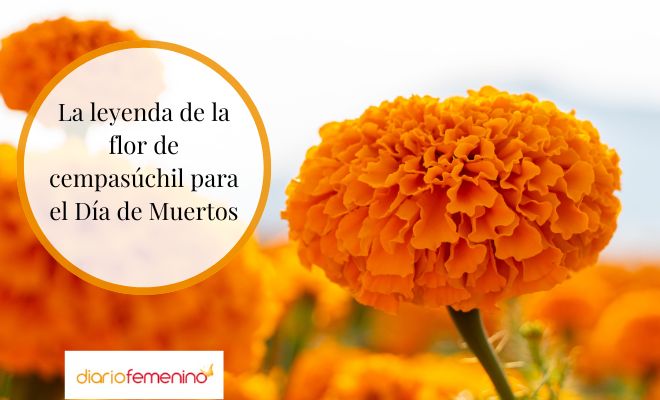 La leyenda de la flor de cempasúchil