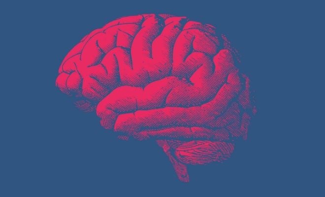 Lugar del cerebro donde se originan los sueños