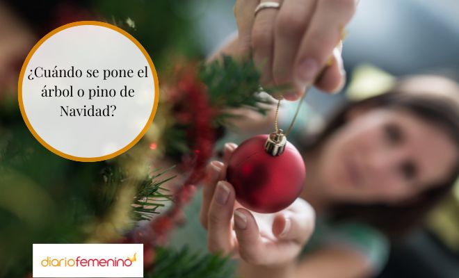¿Cuándo montar el árbol de Navidad?
