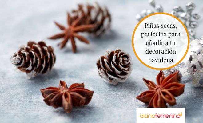 Decoración navideña con piñas secas