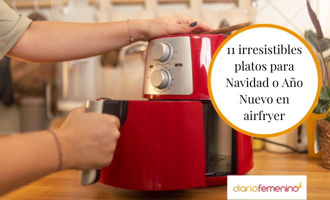 Recetas de Navidad fáciles para hacer con la airfryer