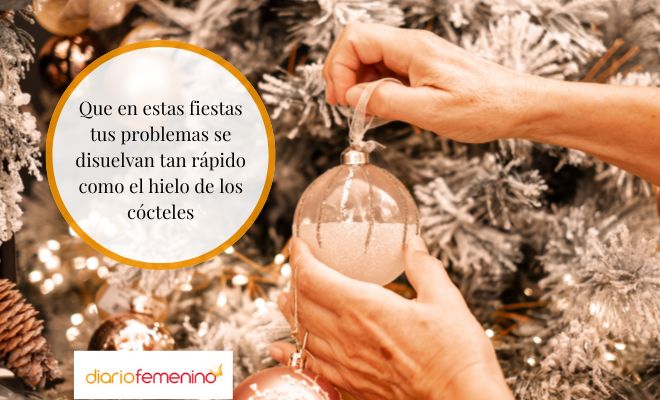 Frases de Navidad inteligentes y con humor