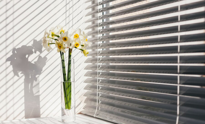 ¿Cómo elegir las mejores persianas para tu hogar?