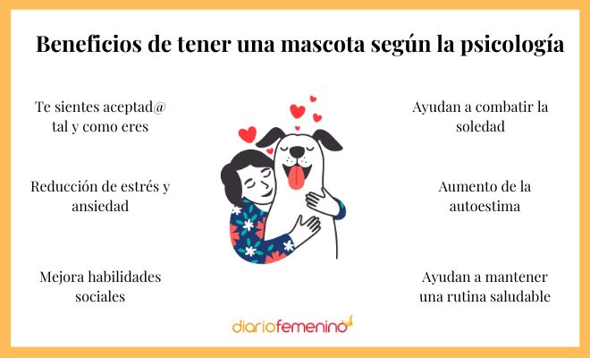 Beneficios de tener una mascota
