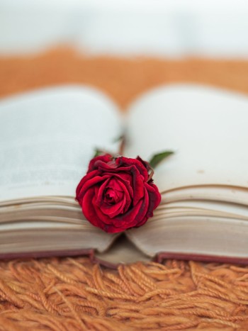 Frases de Sant Jordi (en español y catalán): bellos mensajes para dedicar