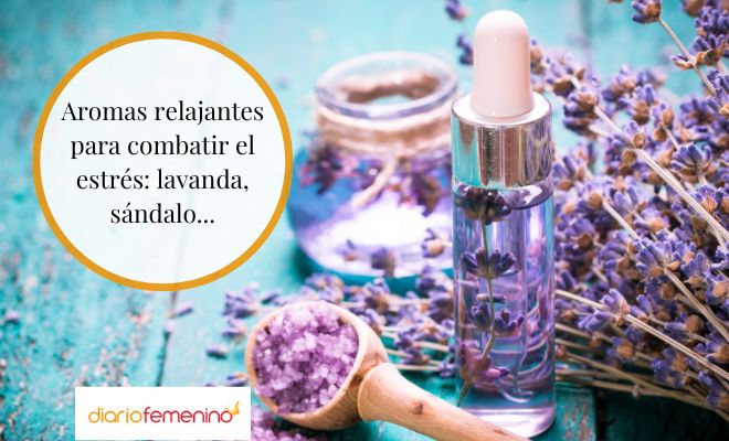 Aromas que ayudan a gestionar el estrés