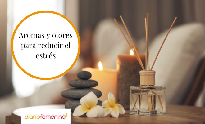 ¿Cuáles son los mejores aromas antiestres?
