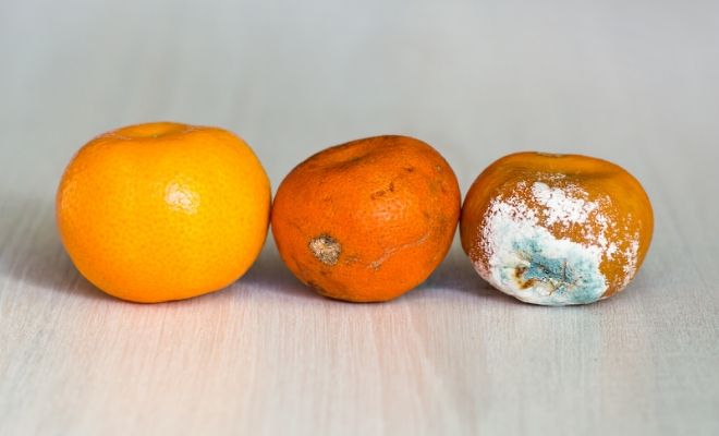 El significado de soñar con comida caducada