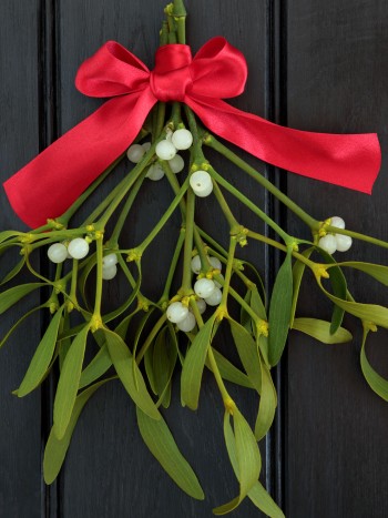 Soñar con muérdago: la magia de la Navidad