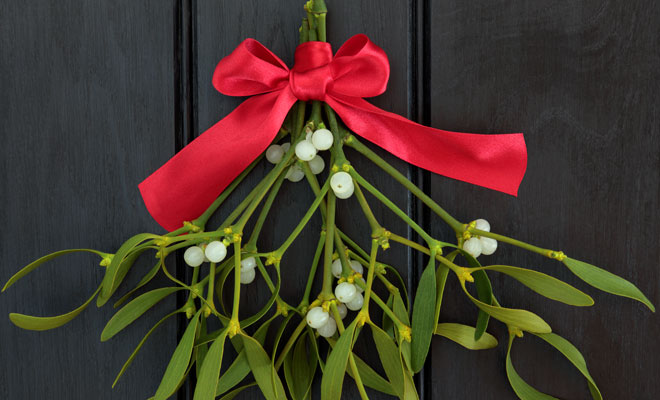 What does it mean to dream of mistletoe