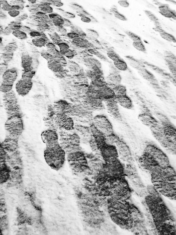 El Mohán o Poira: leyenda colombiana de terror (en su versión larga)