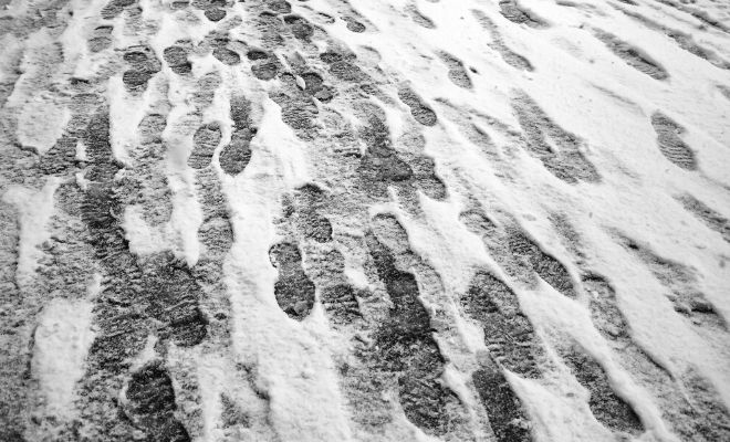 El Mohán o Poira: relato colombiano de miedo