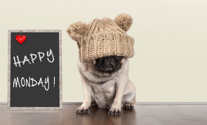 Frases para pensar en lo terrible que son los lunes