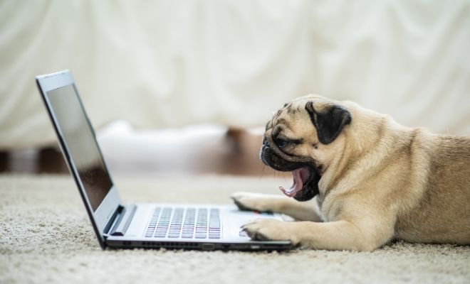 Motivadoras citas a cerca de los lunes