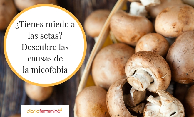 Causas, síntomas y tratamiento de la micofobia o miedo a las setas