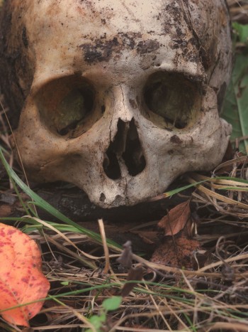 Soñar que soy caníbal: la diferencia entre el bien y el mal