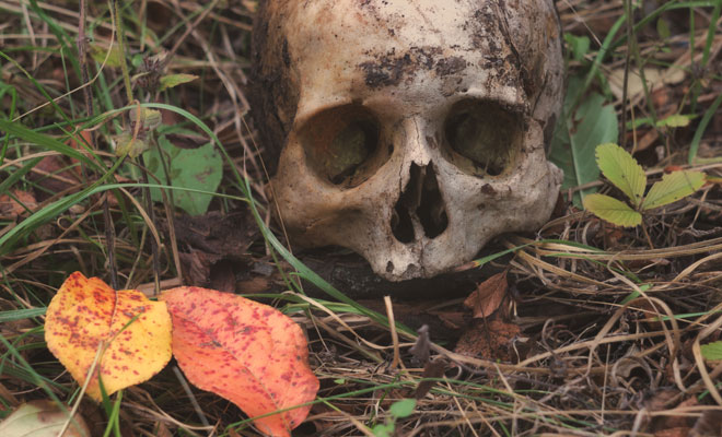 Qué significa soñar que eres caníbal