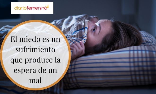 Frase de Sigmund Freud sobre el miedo