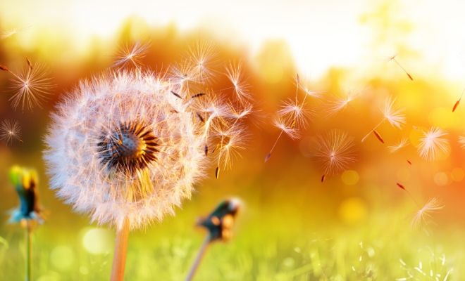 Frase de la primavera y su relación con la naturaleza