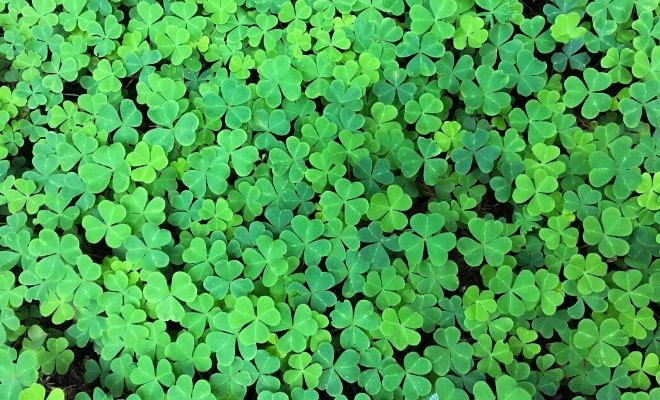 Significado del color verde