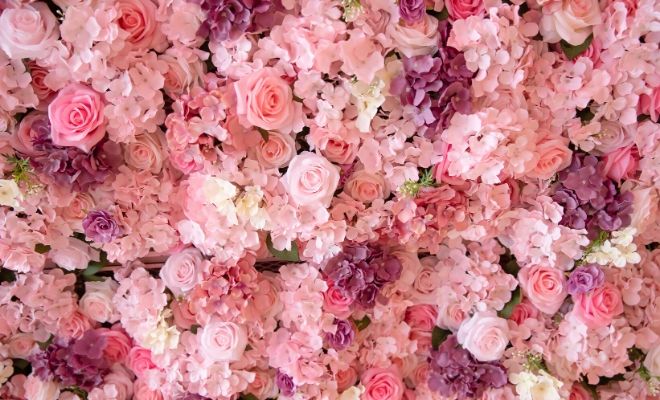 El significado del color rosa