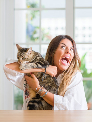 Soñar que matas a un gato: supuestas traiciones