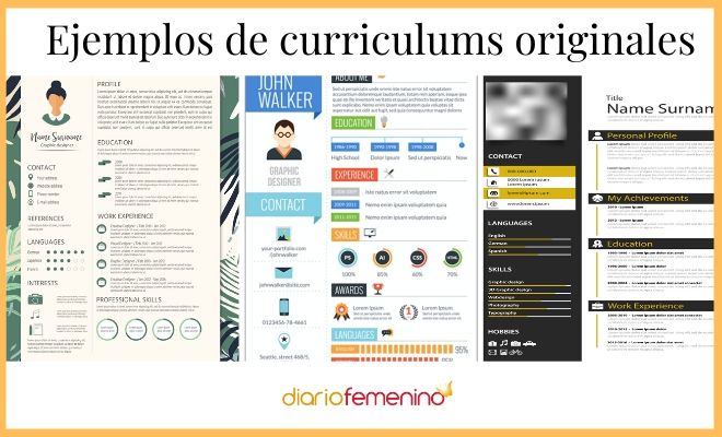 Ejemplos de curriculums originales