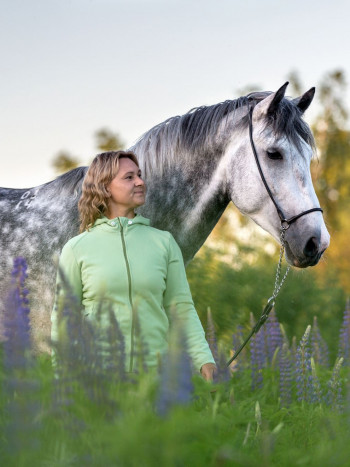 Soñar con un caballo gris: descubre de qué color es tu vida