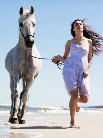 Soñar con un caballo que te persigue: significados de advertencia