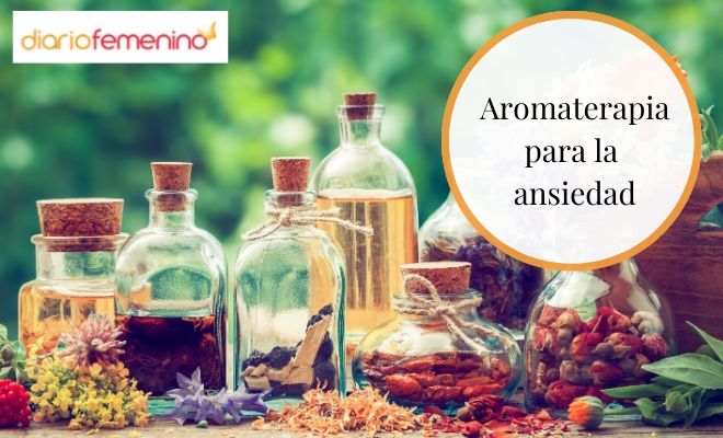 Propiedades de aceites esenciales para difusor - La Casa de los Aromas
