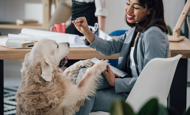 Nombres de perros ideales para tu cachorro