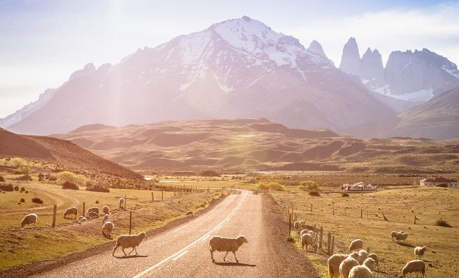 Palabras y expresiones de Chile