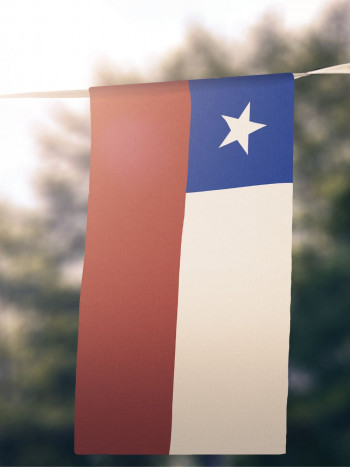 Expresiones y palabras chilenas con significado (y algunas curiosidades)