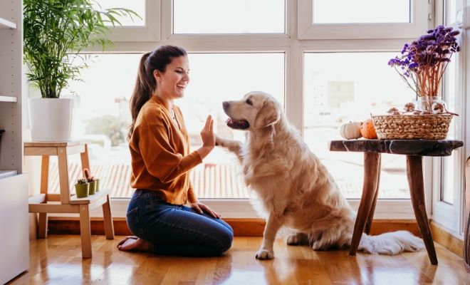 Interpretación de soñar que te conviertes en perro