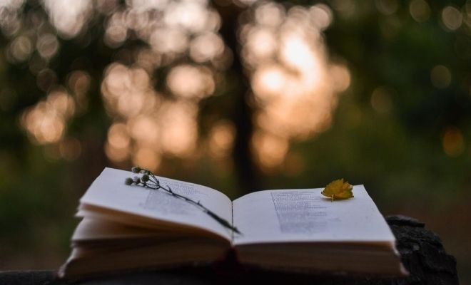 Las poesías más conocidas de Rosalía de Castro