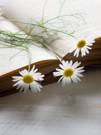 Poemas de Rosalía de Castro que debes conocer (con su interpretación)