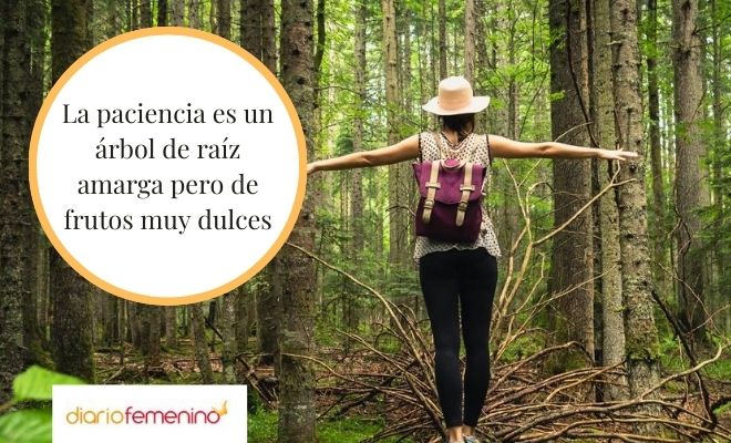 Proverbio árabe que habla de la paciencia