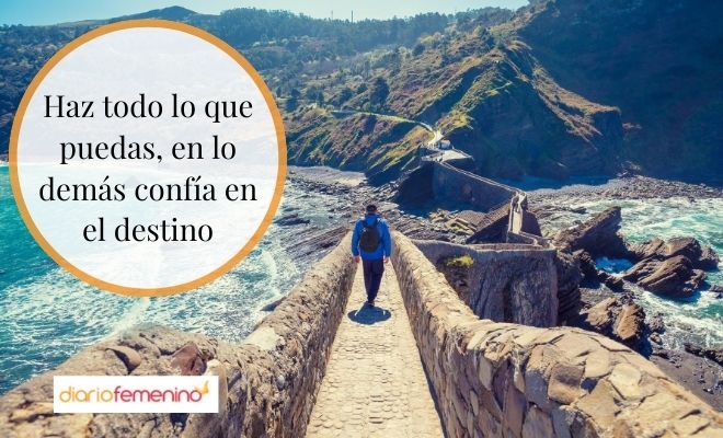 Motivador proverbio japonés