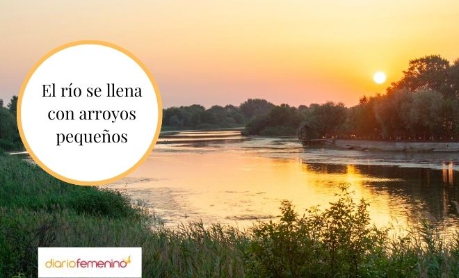 Significativo proverbio africano con su significado