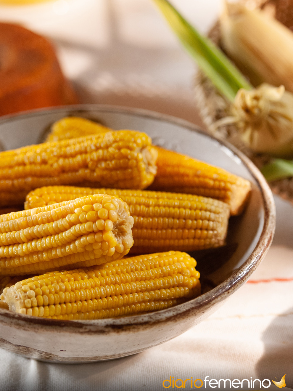 4 formas eficaces para conservar el maíz y mantenerlo como el primer día