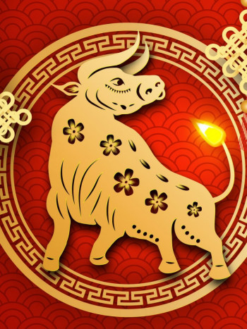 Horóscopo chino de la mujer Buey: personalidad, amor y trabajo