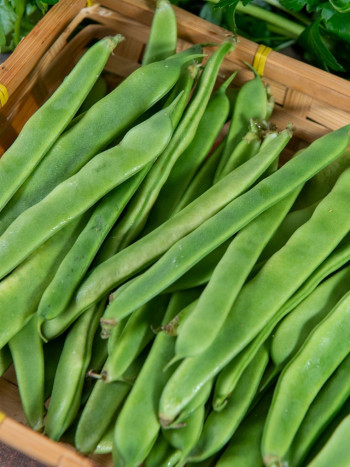 Diferentes formas de conservar judías verdes para mantener su sabor