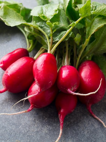 5 consejos prácticos para conservar rábanos y que duren mucho tiempo