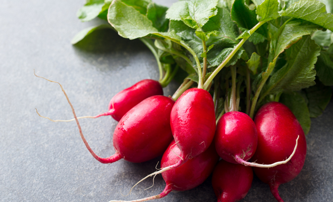 Consejos imprescindibles para conservar rábanos durante mucho tiempo