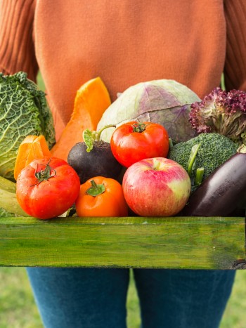 Productos ECO vs Productos BIO: las diferencias que debes conocer